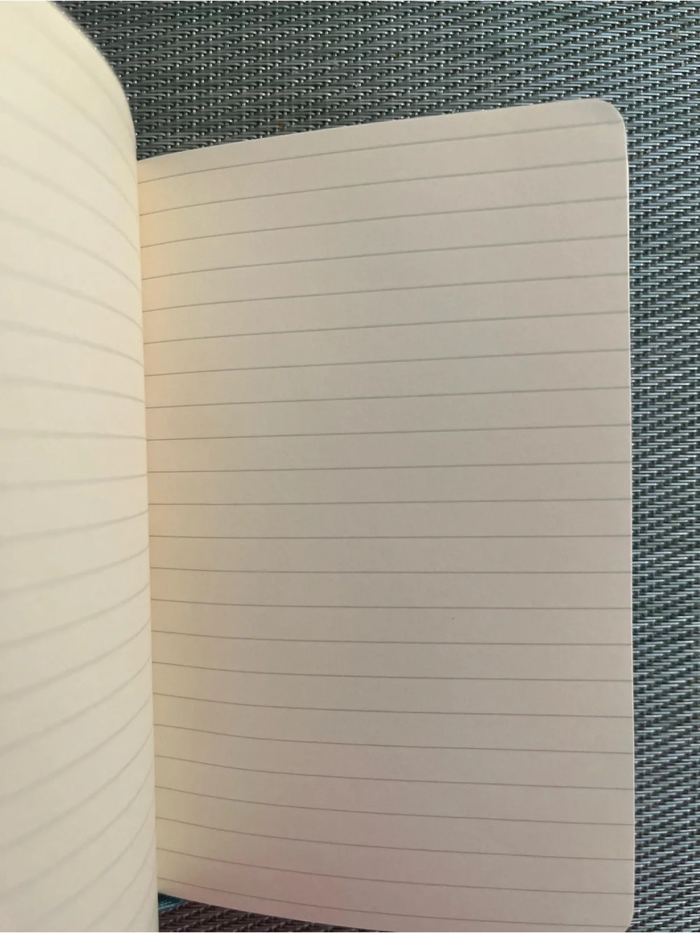 Moleskine slim lined